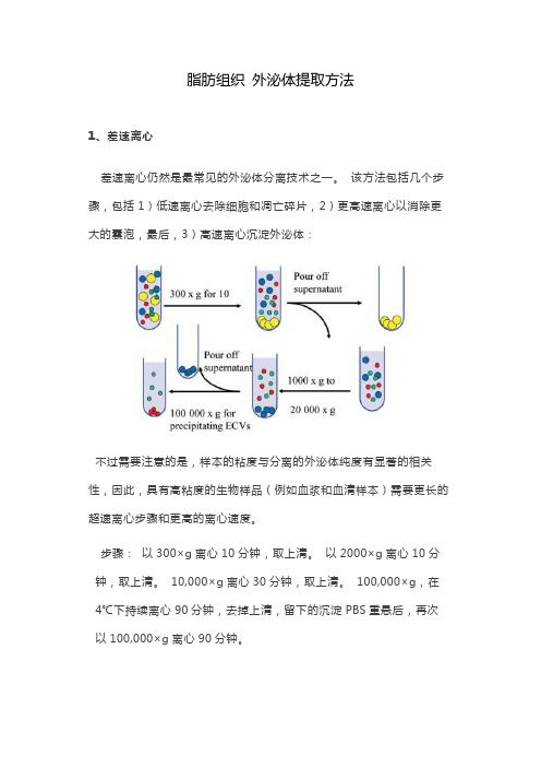 脂肪组织 外泌体提取方法