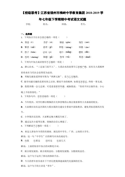 江苏省扬州市梅岭中学教育集团2020至2021学年七年级下学期期中考试语文试题