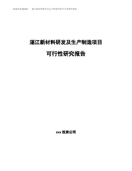 湛江新材料研发及生产制造项目可行性研究报告