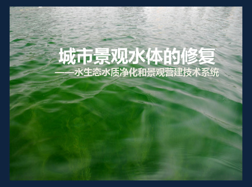 水生态修复系统介绍