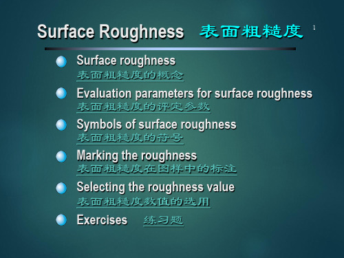 表面粗糙度Surface Roughness