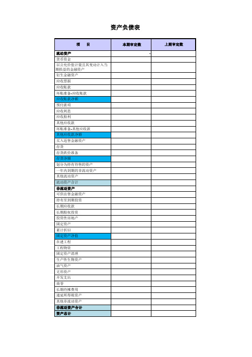 新现金流量表(模板)