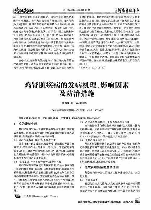 鸡肾脏疾病的发病机理、影响因素及防治措施