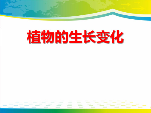 《植物的生长变化》生长与变化PPT课件【完美版课件】