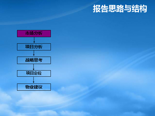 同致行郑州小李庄购物公园商业项目定位报告46PPT