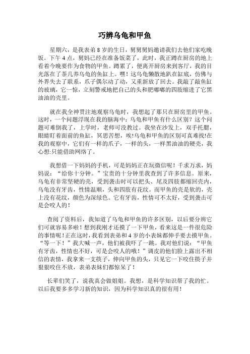 小学生科技小论文：巧辨乌龟和甲鱼