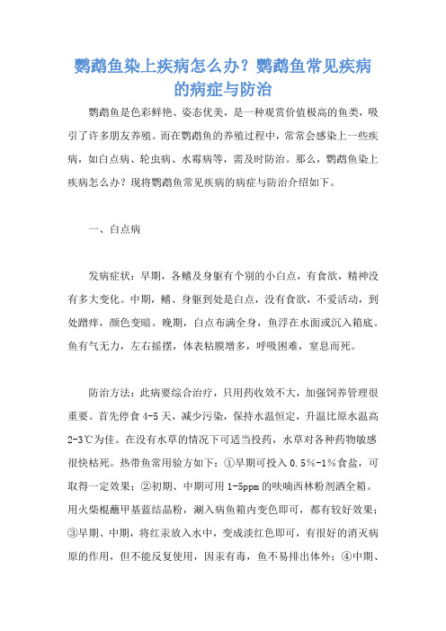 鹦鹉鱼染上疾病怎么办？鹦鹉鱼常见疾病的病症与防治