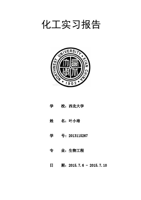 西北大学陕化实习报告..