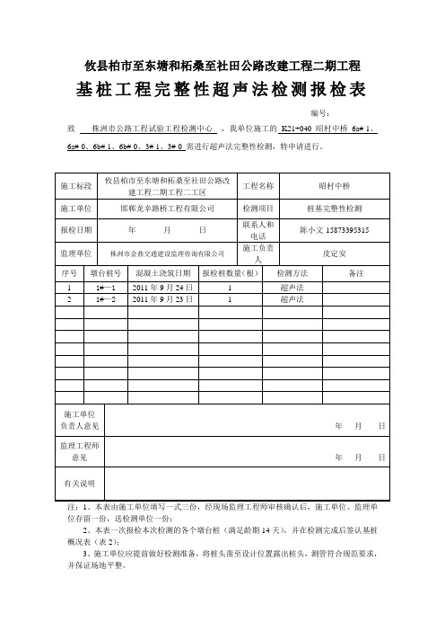 桩基检测申请表格式