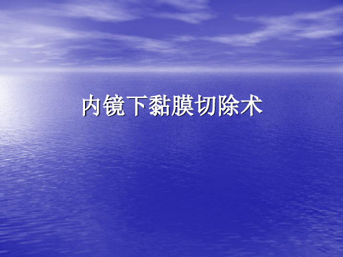 [工程科技]内镜下粘膜切除术