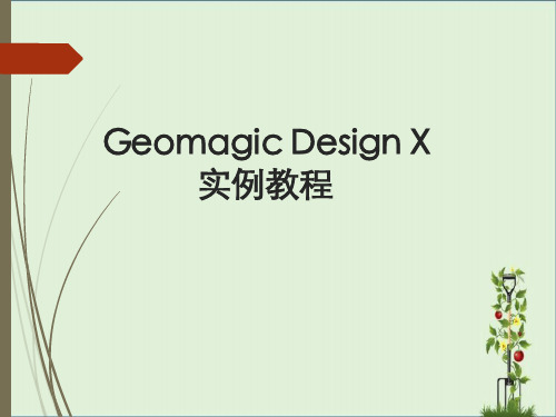 Geomagic-DesignX教程