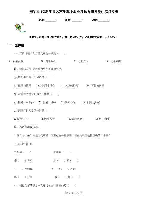 南宁市2019年语文六年级下册小升初专题训练：成语C卷