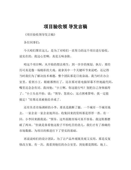 项目验收领 导发言稿