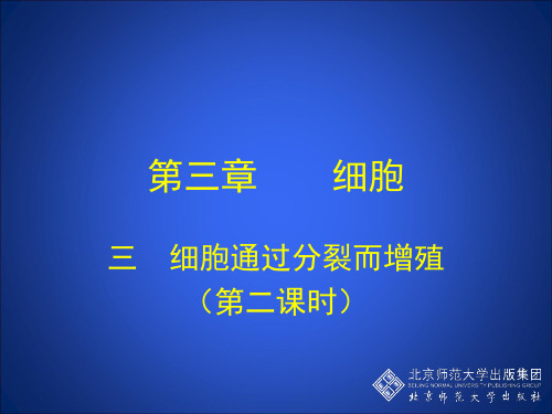 生物七年级上北师大版2-3-3细胞通过分裂而增殖课件(18张)