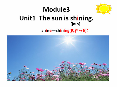 外研版(三起)英语六年级下册Module3Unit1Thesunisshining