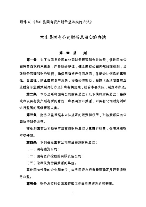 常山县国有公司财务总监实施办法1(1).doc