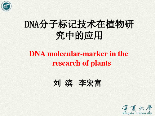 DNA分子标记技术在药用植物研究方面的应用