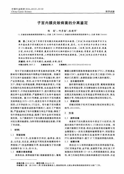 子宫内膜炎致病菌的分离鉴定