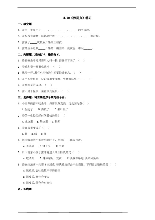 2021年新苏教版四年级科学下册3.10《养昆虫》练习(含答案)