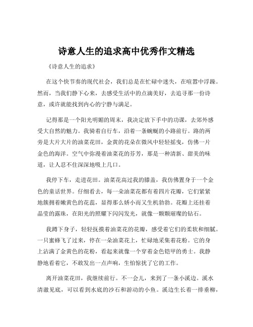 诗意人生的追求高中优秀作文精选