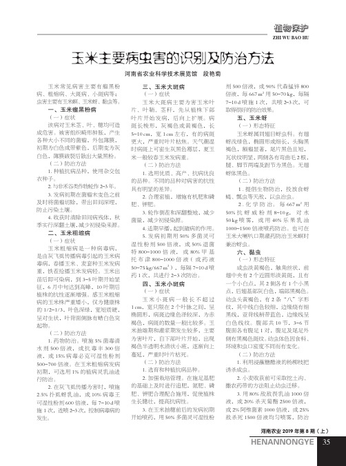 玉米主要病虫害的识别及防治方法