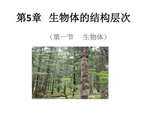 华师大版 七年级科学 上册 第4章  第一节  生物体 (共22张PPT)