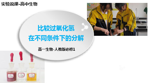 比较过氧化氢在不同条件下的分解实验说课课件高一上学期生物人教版必修1(1)