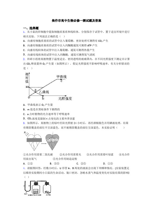 焦作市高中生物必修一测试题及答案