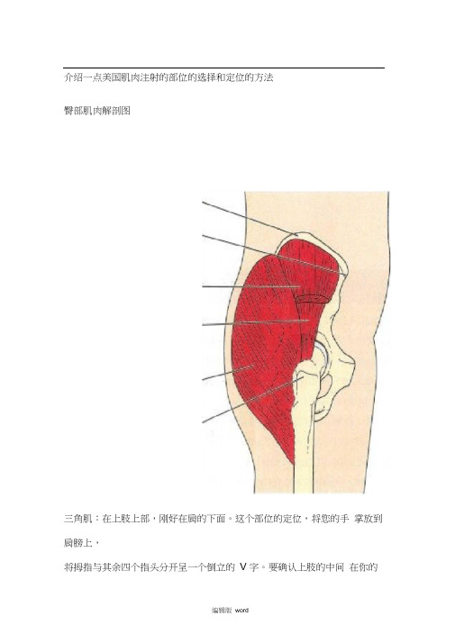 肌肉注射针位置图