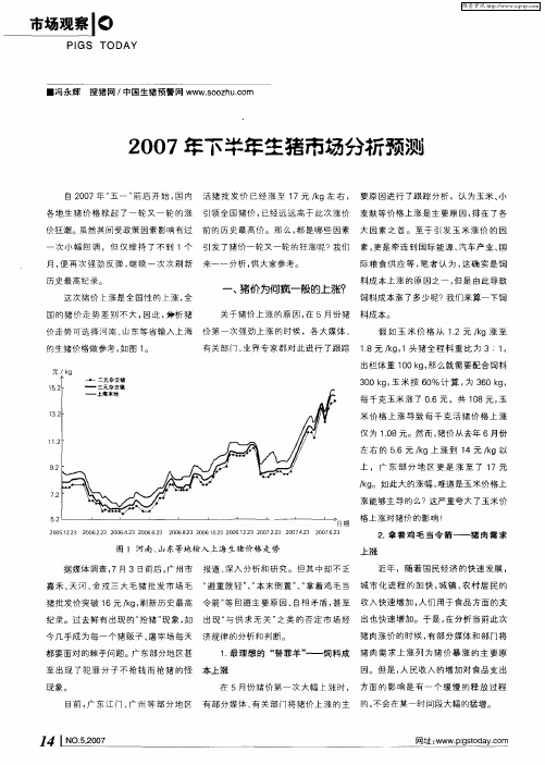 2007年下半年生猪市场分析预测