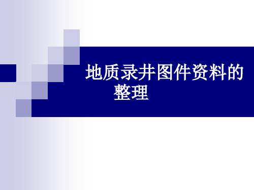 地质录井图件整理