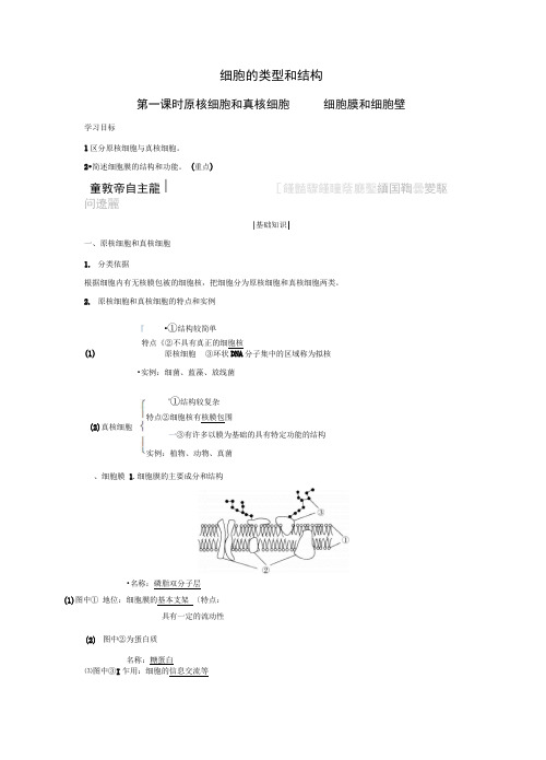 2018版高中生物苏教版必修1学案：3.2.1原核细胞和真核细胞细胞膜和细胞壁