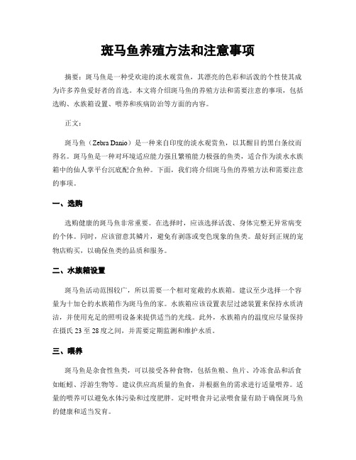 斑马鱼养殖方法和注意事项