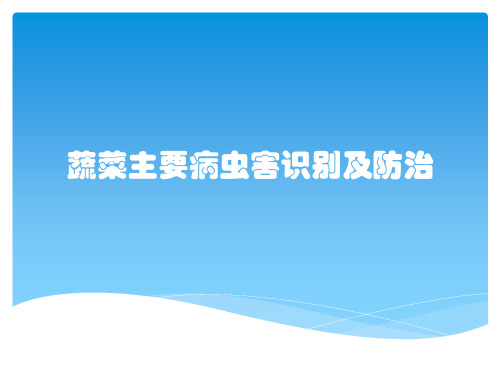 蔬菜主要病虫害识别及防治