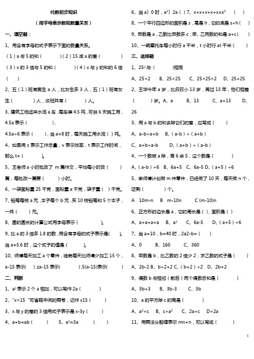 代数初步知识(用字母表示数和数量关系)