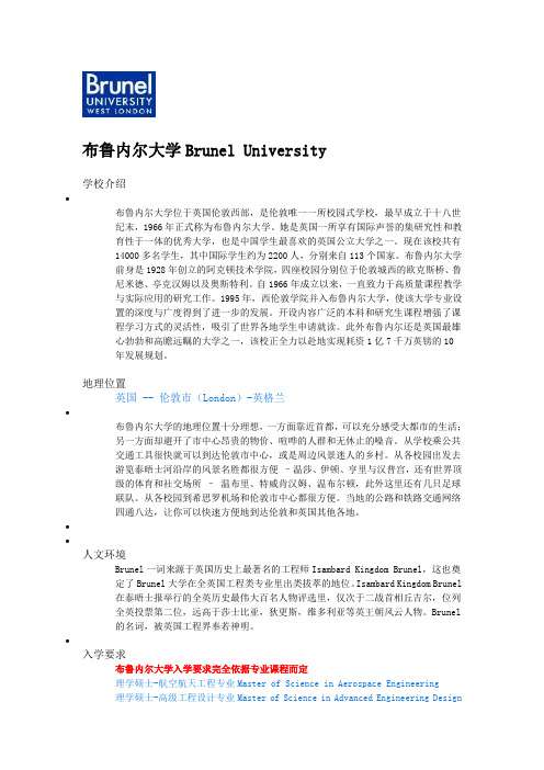 英国_布鲁内尔大学