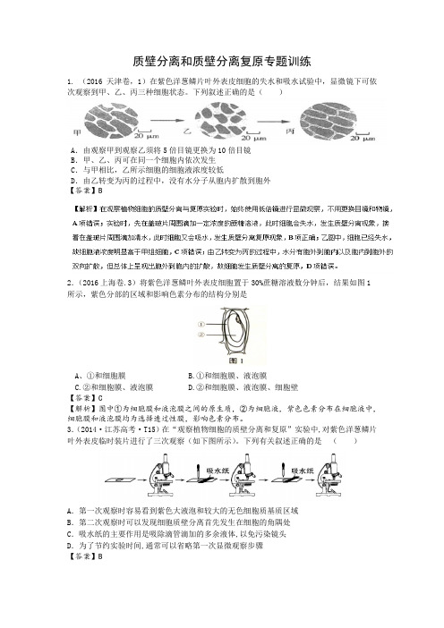 江苏省栟茶中学2017届高三生物 质壁分离与复原专题训练