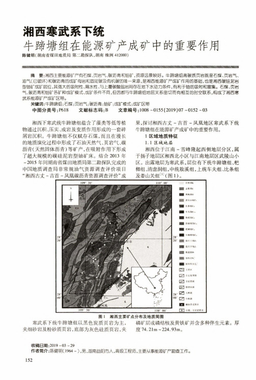 湘西寒武系下统牛蹄塘组在能源矿产成矿中的重要作用