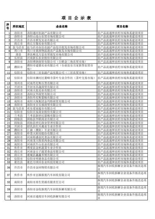 项目公示表一