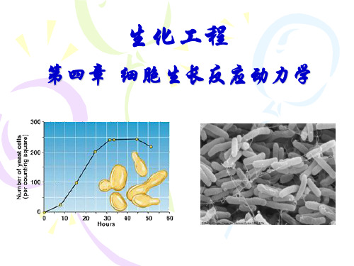 第四章细胞反应动力学