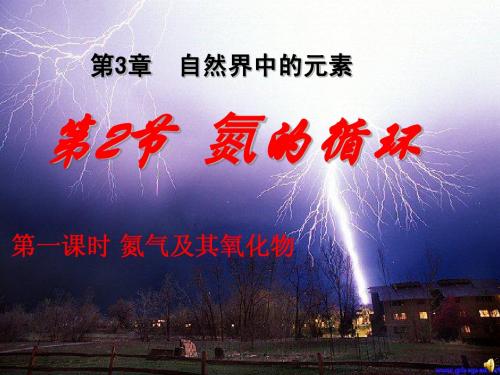 氮的循环