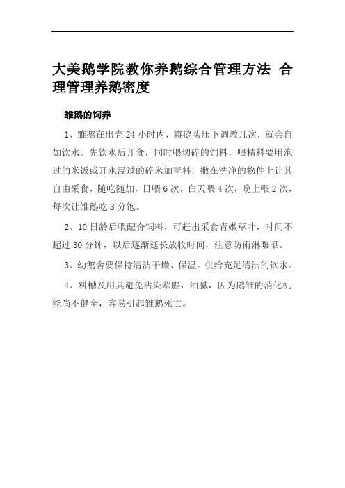 大美鹅学院教你养鹅综合管理方法 合理管理养鹅密度