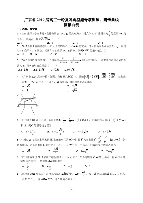 广东省2019届高三一轮复习典型题专项训练：圆锥曲线(理数)