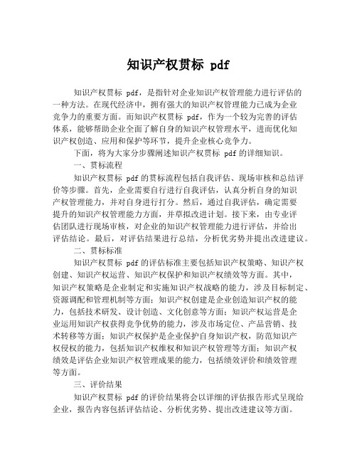 知识产权贯标 pdf