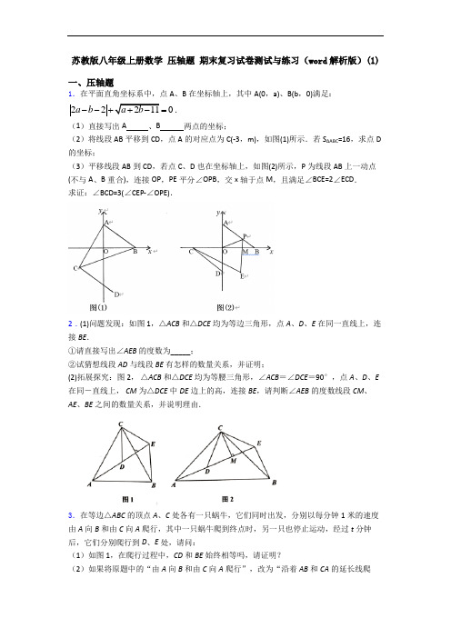 苏教版八年级上册数学 压轴题 期末复习试卷测试与练习(word解析版)(1)