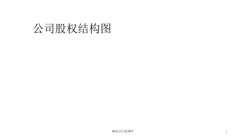 公司股权结构图