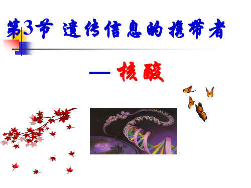 生物：23《遗传信息携带者——核酸》课件(新人教版必修1)