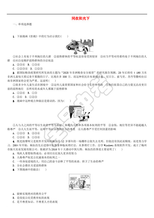 2018年中考政治 第三部分 九年级 第17课时 同在阳光下复习课时作业 教科版