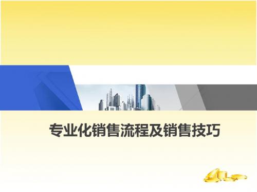 专业化销售流程及销售技巧培训.ppt.ppt