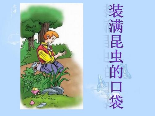 小学语文(北师大版)三年级下册课件：装满昆虫的口袋